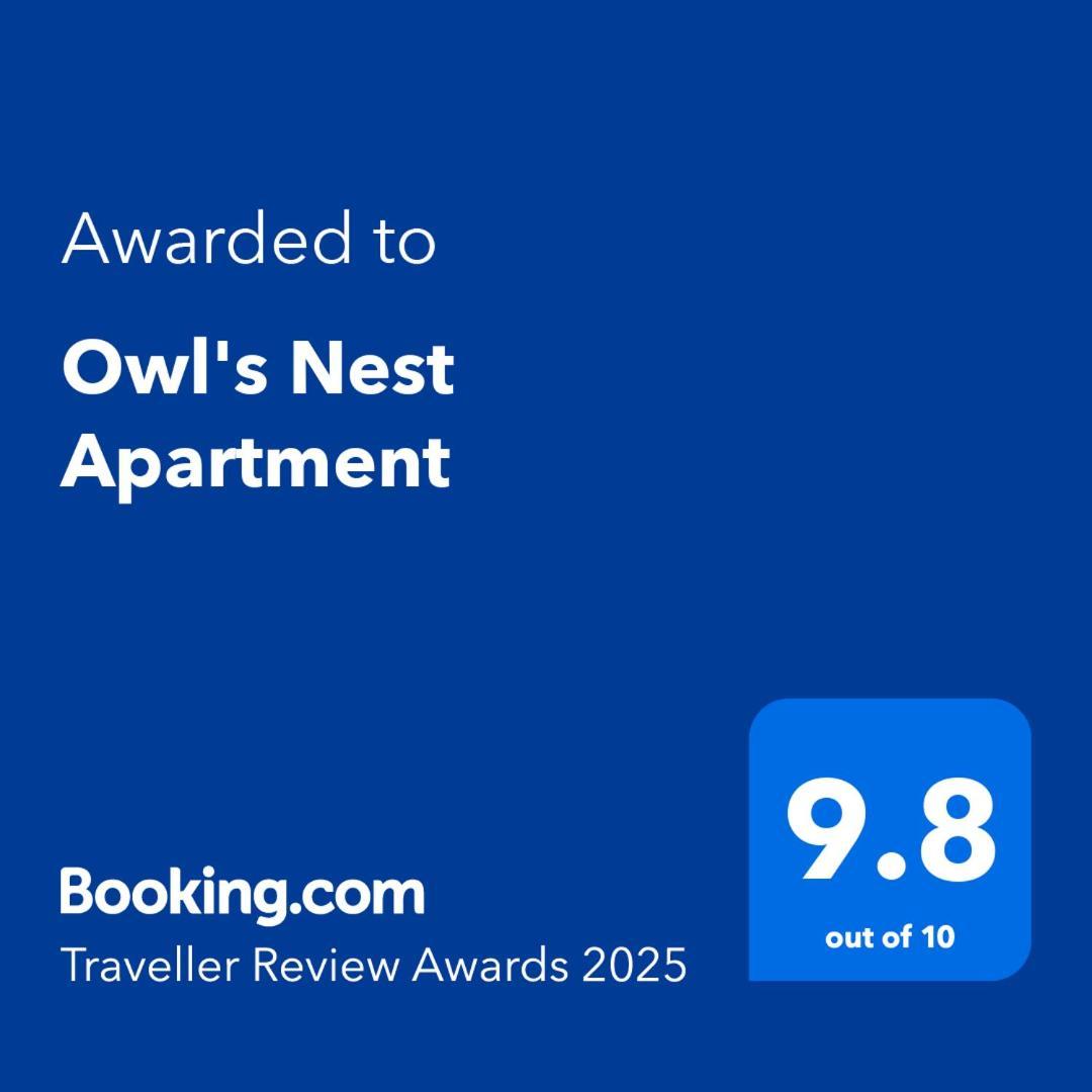 Apartment Owl's Nest Cluj-Napoca